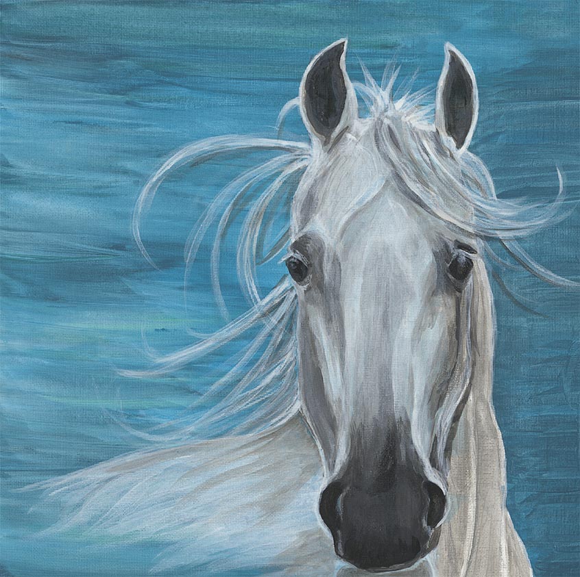 white horse blue on canvas